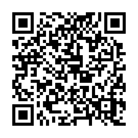 QR code for plate N46-33Z