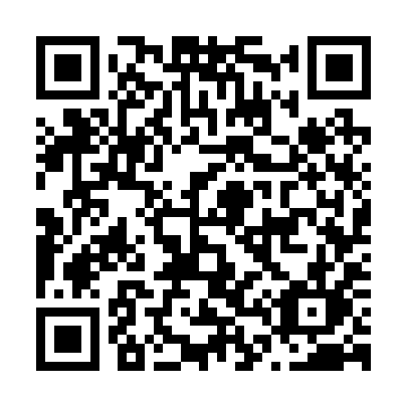 QR code for N47-29L