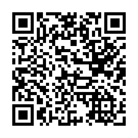 QR code for plate N48-11M