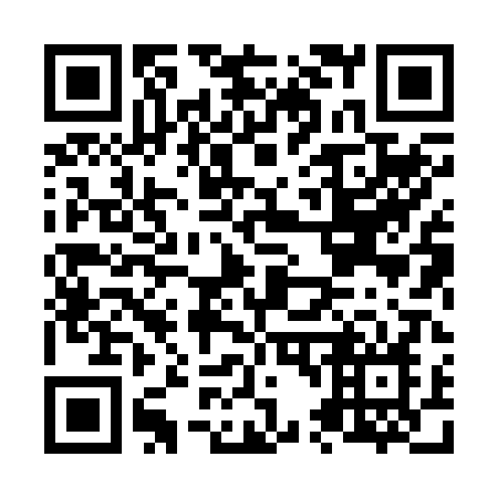 QR code for plate N48-20N