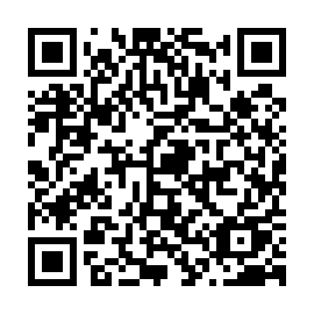 QR code for N4951U