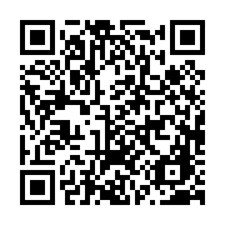 QR code for plate N50-06G