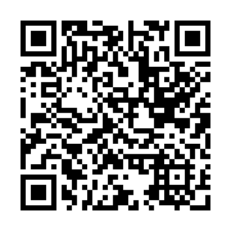 QR code for plate N50-30I