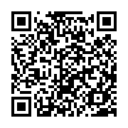 QR code for plate N50-41L
