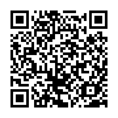 QR code for N51-29M