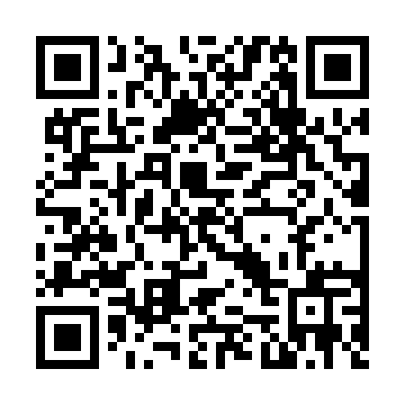QR code for N53-01Q