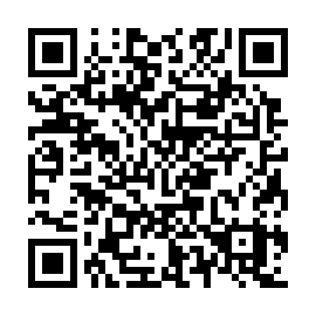 QR code for N53-33Y