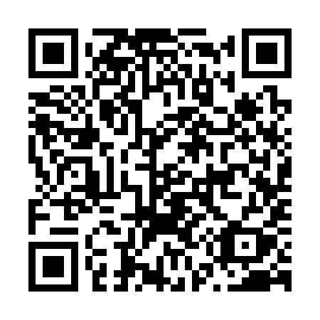 QR code for N53-39Y