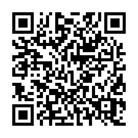 QR code for plate N53-15T