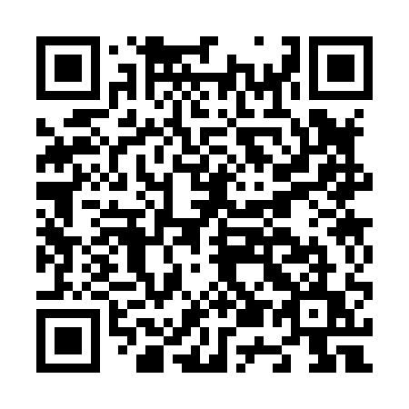 QR code for plate N53-81U