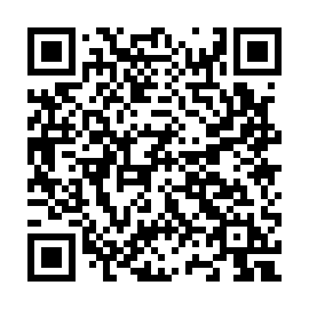 QR code for N61-11H