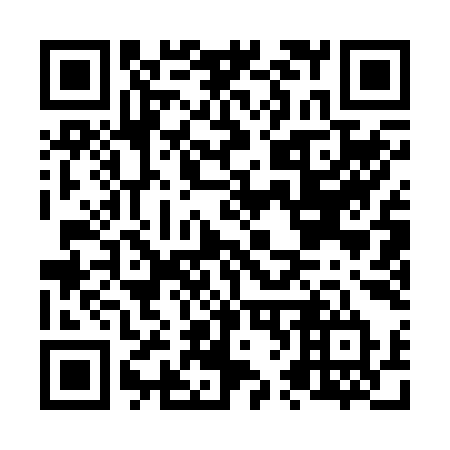 QR code for N61-29T