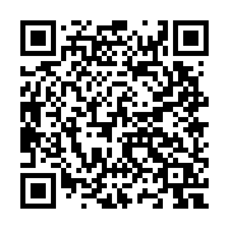QR code for N61-78P