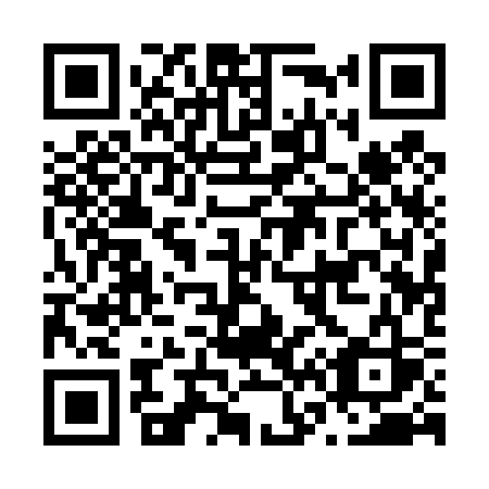 QR code for plate N61-43S
