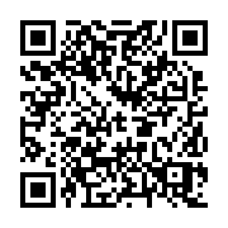 QR code for N62-29P