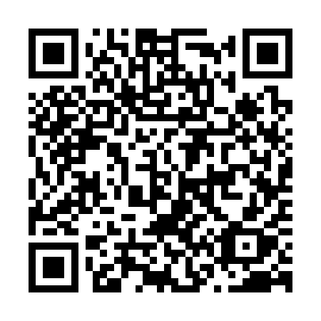 QR code for N63-31X