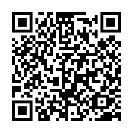 QR code for plate N65-40X