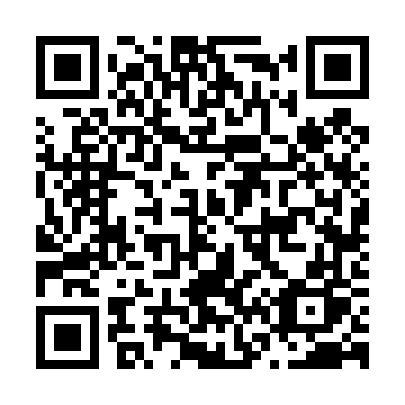 QR code for N66-46P