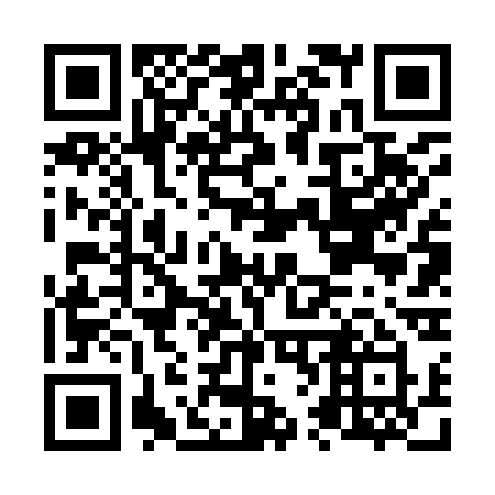 QR code for N66-93Y