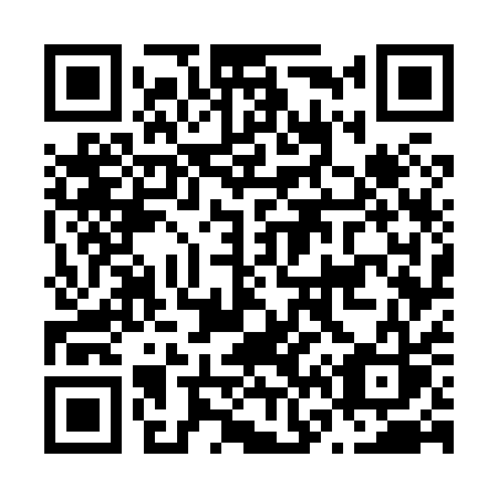 QR code for N67-81S