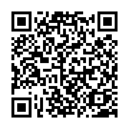 QR code for N79-53Q