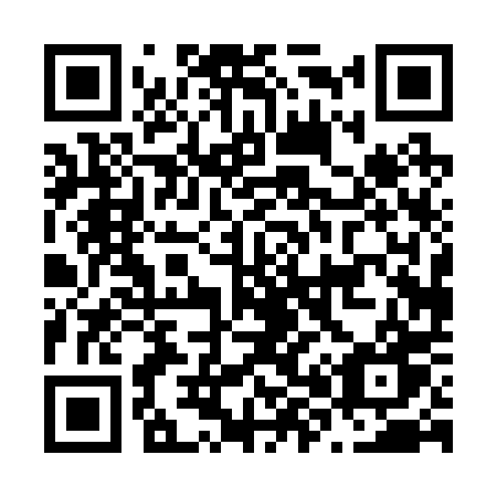 QR code for N80-20W