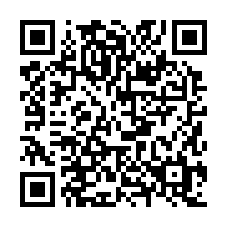 QR code for N80-38L