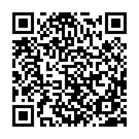 QR code for plate N80-06W