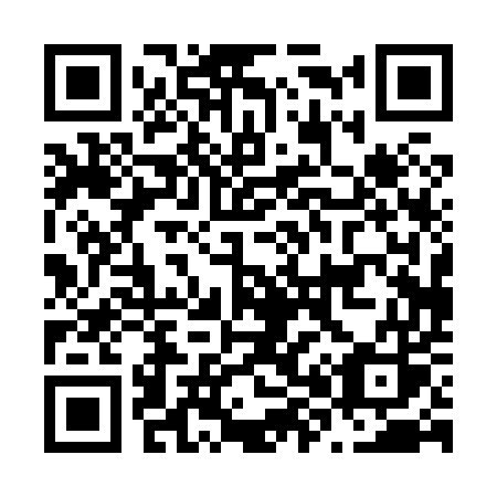 QR code for N8085S
