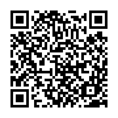 QR code for N81-64L