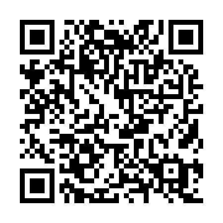 QR code for N81-96E