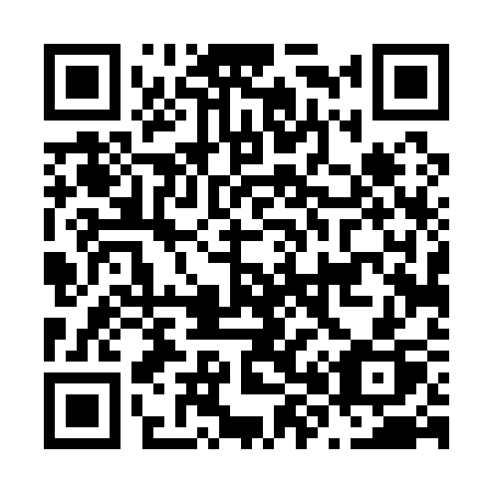 QR code for N84-13P
