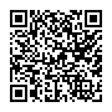 QR code for N85-88P