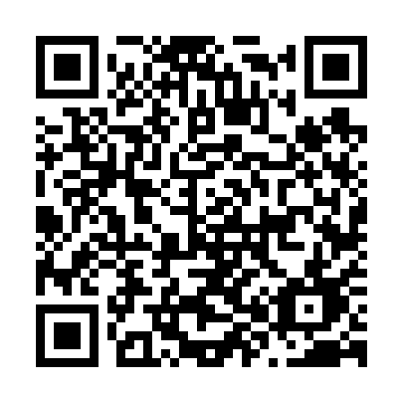 QR code for plate N86-61D
