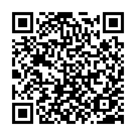QR code for N87-38P