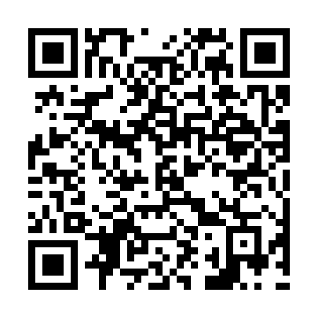 QR code for N91-38G