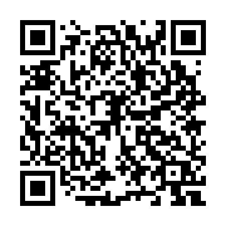 QR code for N91-38P