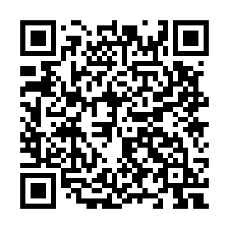 QR code for N91-53J