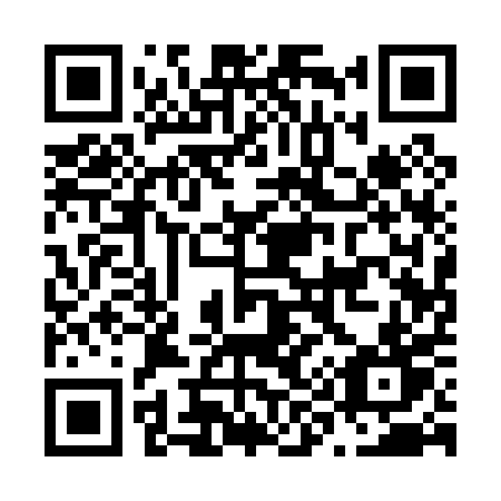 QR code for plate N91-00T