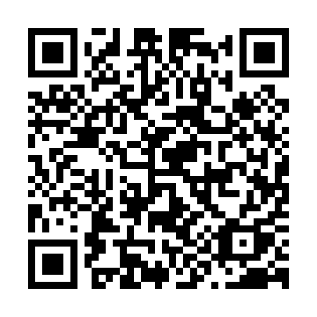QR code for plate N91-01Q