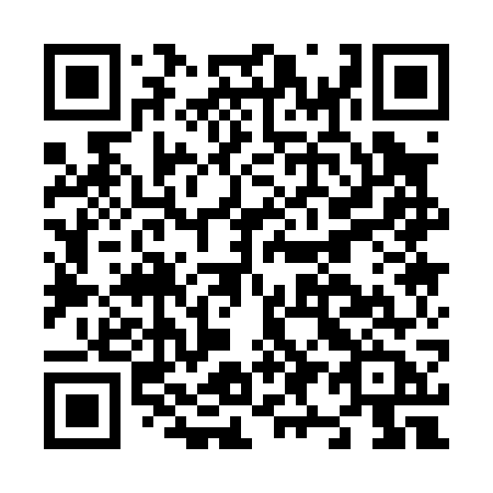 QR code for plate N91-07B