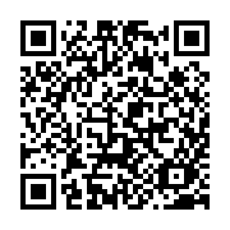 QR code for plate N91-19O