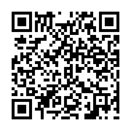 QR code for plate N91-76W