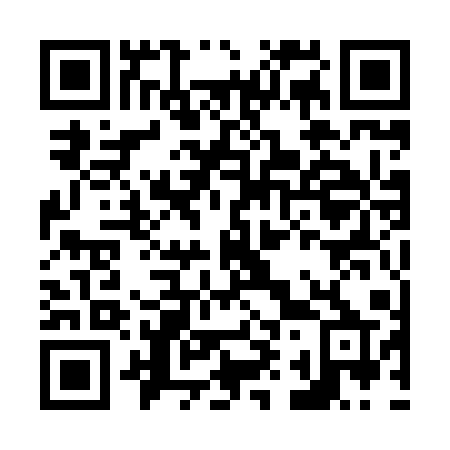 QR code for plate N91-81P