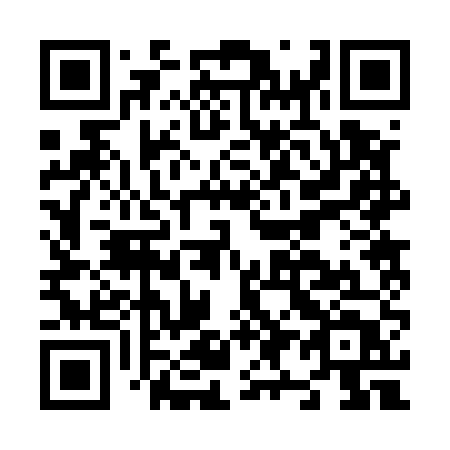 QR code for plate N92-55T