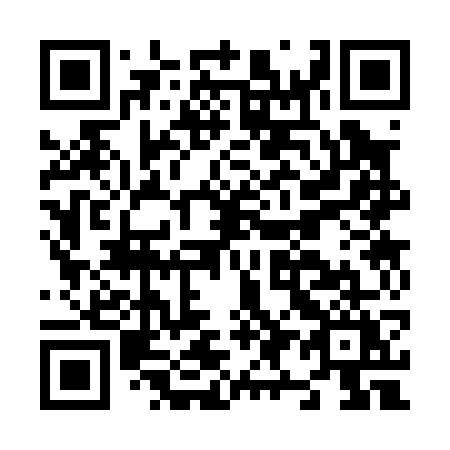 QR code for N93-07Y