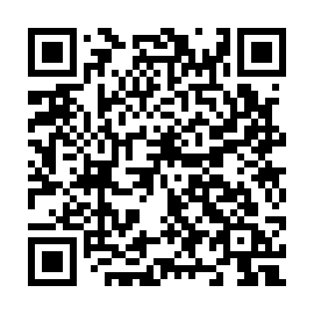QR code for N93-13C