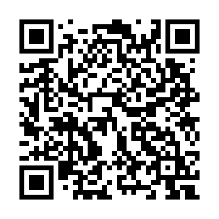 QR code for N93-73Z