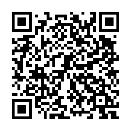 QR code for plate N93-46E