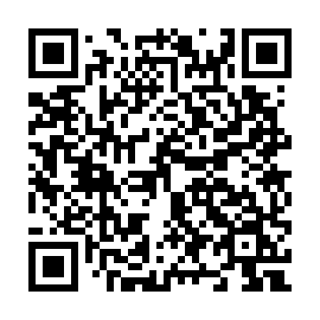 QR code for plate N93-78N